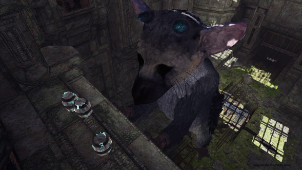 The Last Guardian: Последний хранитель [PS4, русские субтитры] в Череповце