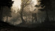Игра GreedFall [PS4, русские субтитры] в Череповце