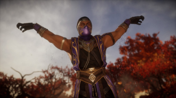 Mortal Kombat 11: Ultimate [PS4, русская версия] в Череповце
