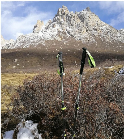 Треккинговая палка Naturehike 135 см, 1шт., серый/зеленый в Череповце