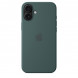 Чехол Apple для iPhone 16 Plus Silicone MagSafe,  Lake Green (MYYH3ZM/A) в Череповце