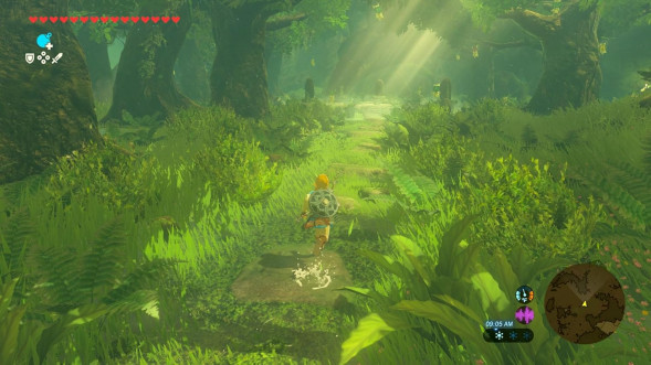 Игра The Legend of Zelda: Breath of the Wild [Nintendo Switch 2, русская версия] в Череповце