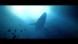 Игра Under The Waves [PS4, русские субтитры] в Череповце