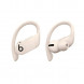 Беспроводные наушники Beats Powerbeats Pro, Ivory (MY5D2ZM/A) в Череповце