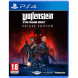 Игра Wolfenstein Youngblood Deluxe Edition [PS4, русская версия] в Череповце