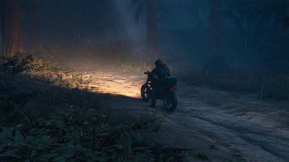 Игра Жизнь После (Days Gone) [PS4, русская версия] в Череповце